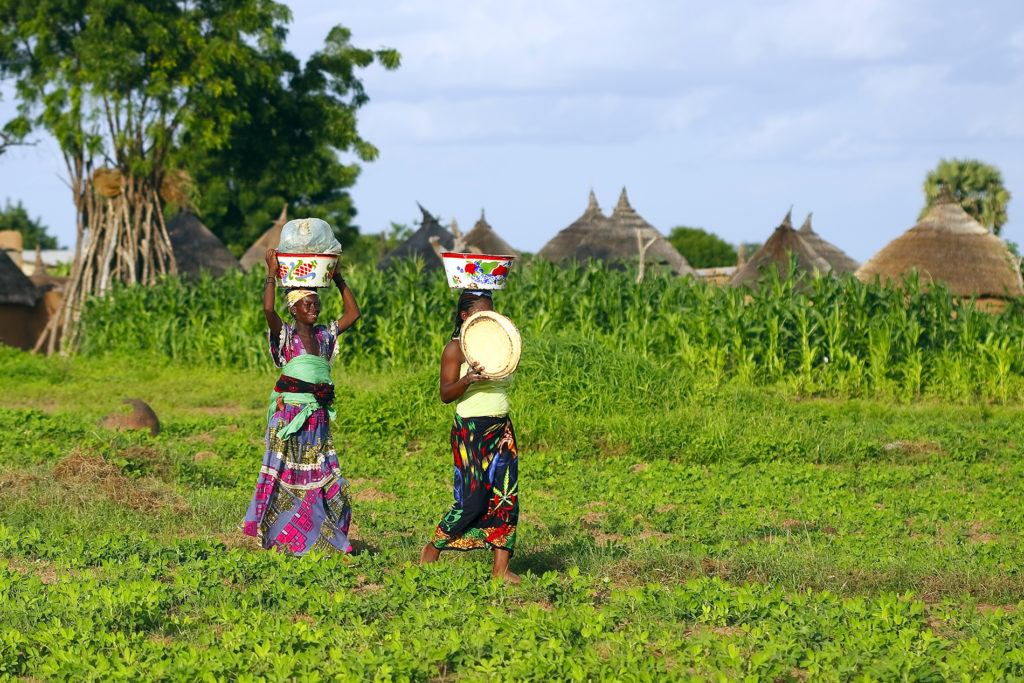 COVID 19 : focus Afrique de l'Ouest et Centrale