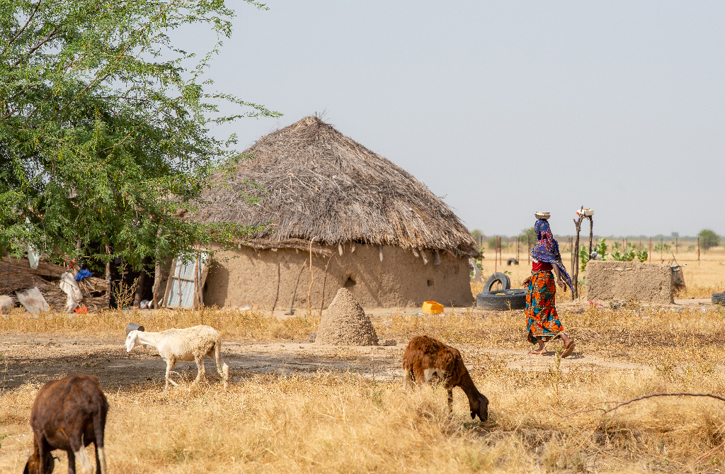 Urgence populations déplacées