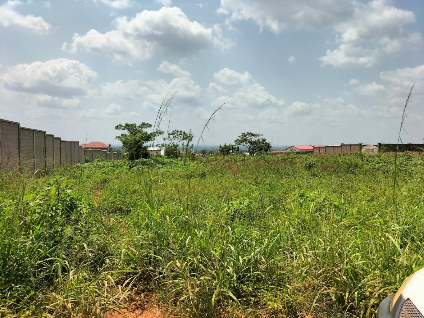 Mission en République Centrafricaine : Formation